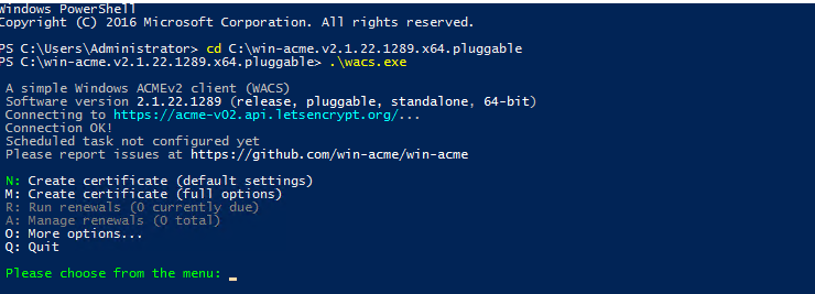 Run win-acme in PowerShell