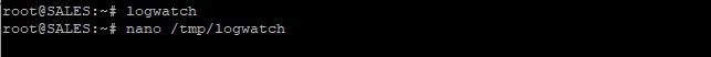 运行logwatch，使用编辑器打开文件