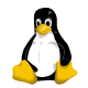 Professional Linux VPS
