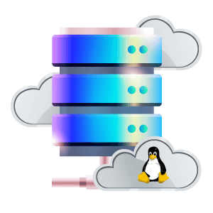 High-Performance VPS Servers for Linux Web Hosting