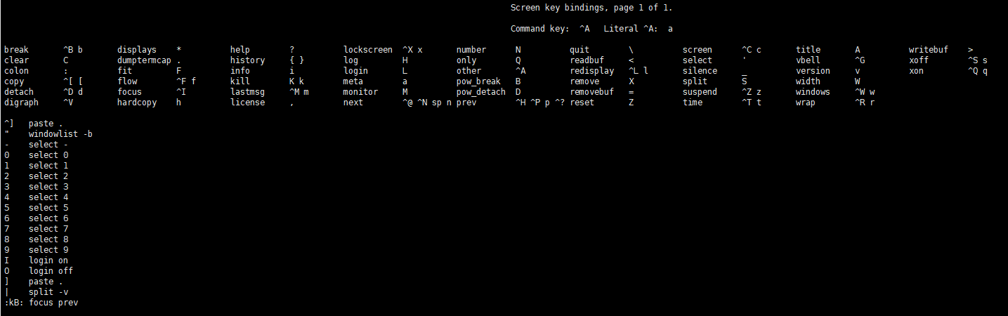 在 Linux 服务器上安装屏幕。