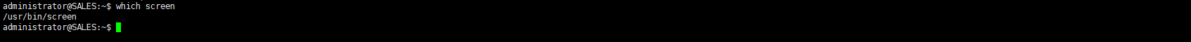 验证 Linux 服务器上的屏幕安装。