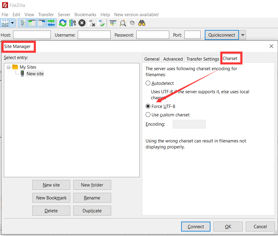 enable UTF-8 charset