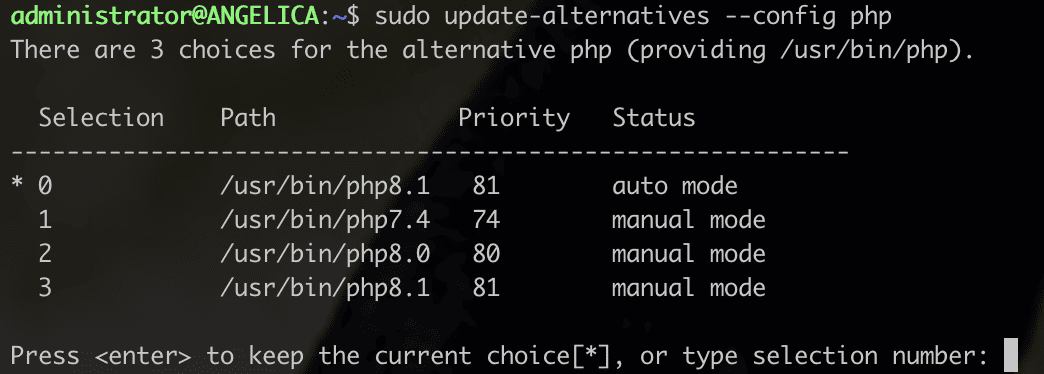 Check installed versions of PHP and set the default PHP version