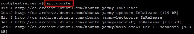 Run apt update