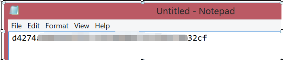 SSL3.1
