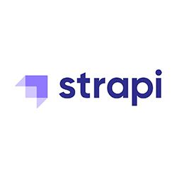 Easy and Managed Strapi Hosting with 24x7 Support
