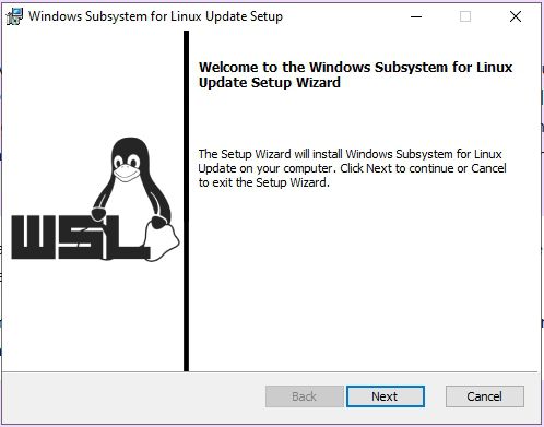 单击“下一步”在计算机上安装 Windows Subsystem for Linux 更新