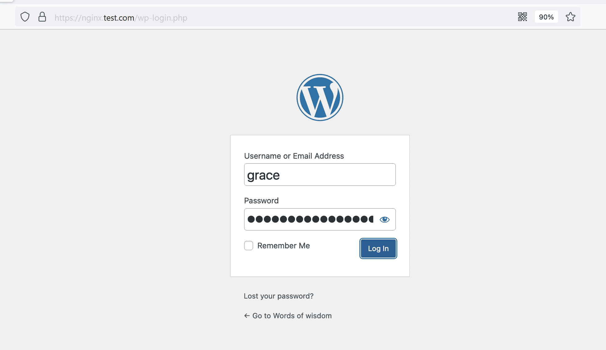 wordpress setup