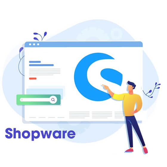 Key Features of Shopware Software