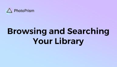 Browsing and Searching Your Library