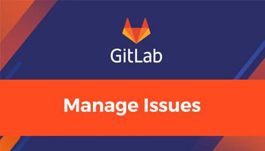 Manage Issues