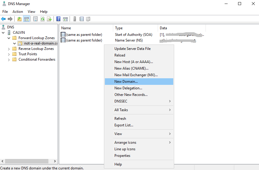 go-dns-server-and-click-domain-name