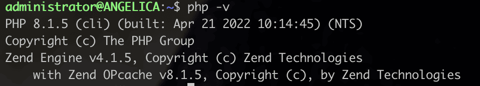 Testing PHP Processing