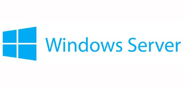 Windows Server OS for VPS hosting