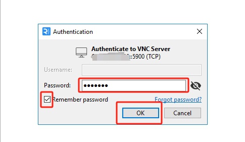 Input Password for VNC server