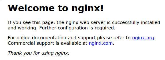 checking your web server