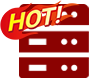 Professional Dedicated Server - SSD