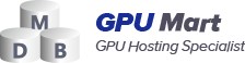 GPU Server