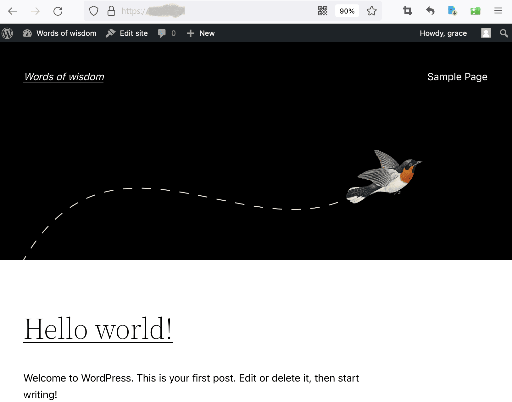 wordpress setup