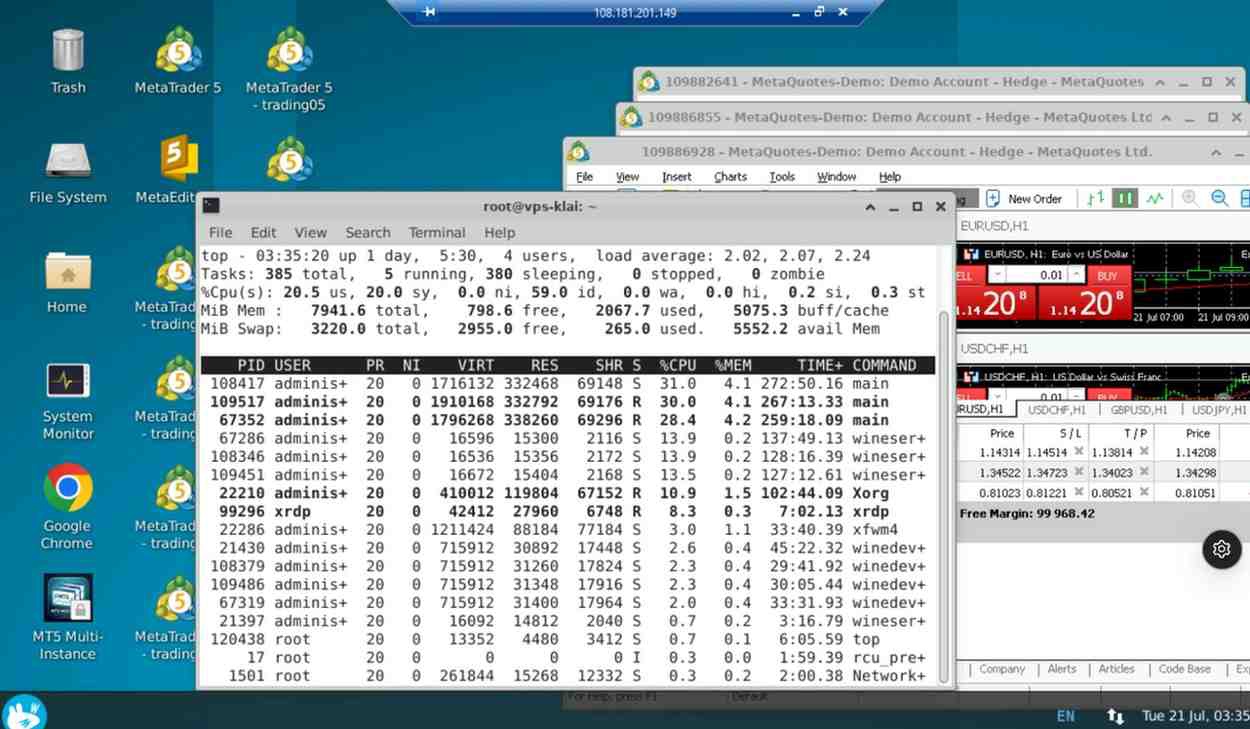 Linux VPS running 3 MT5 terminals — stable
